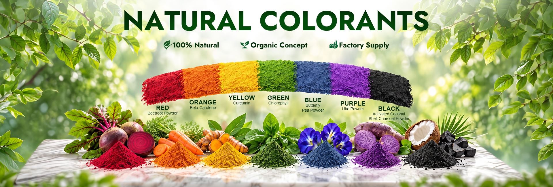 banner4