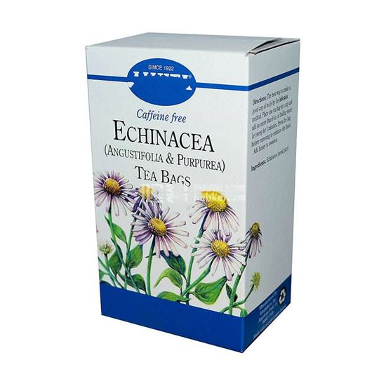 Echinacea tea