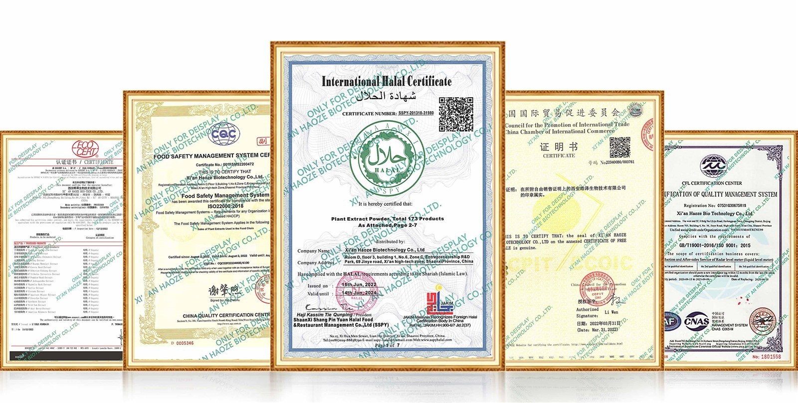 product-1600-809