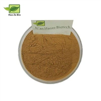 Лонган воћни екстракт у праху